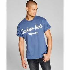 Budget βοΈ And Now This Men's Jackson Hole Graphic T-Shirt Insignia Blue β¨